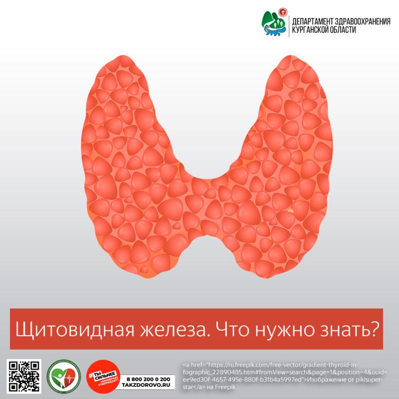 Щитовидная железа. Что нужно знать?